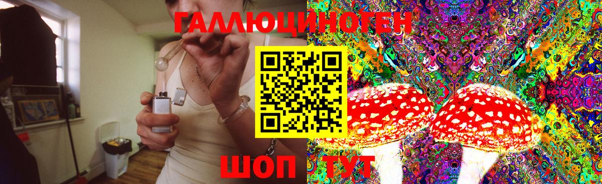 Псилоцибиновые грибы MAGIC MUSHROOMS  Галлюциногенные грибы Cubensis  Вход с VPN  Унеча 